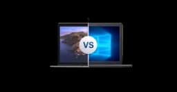 Windows & macOS